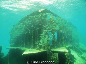 Everytime i see this picture i recall the roman coliseum ... by Gino Giannone 